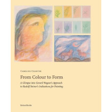 From Colour to Form by Caroline Chanter Paperback Book