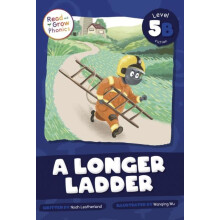 A Longer Ladder by Noah Leatherland Paperback Book