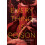 Everything Is Poison by Joy McCullough Hardcover Book 1