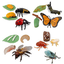 16PCS Insect Figurines Life Cycle of Monarch Butterfly,Honey Bee,Cicada,Ladybug, Plastic Educational School Project