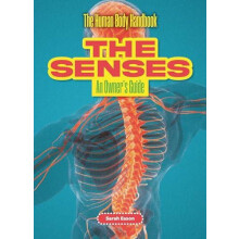 The Senses by Sarah Eason Paperback Book