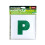 Brookstone Brookstone P Magnetic Plate 1