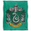Harry Potter Harry Potter Slytherin Painted Blanket 1