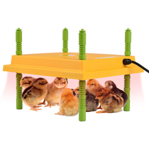 Plutohiker Chick Brooder Heating Plate, 10"x12"Chicken Brooder Heater with Adjustable Height for Baby Chick & Duckling, 20W Brooder Plate for Up to 15