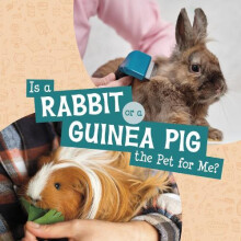 Is a Rabbit or a Guinea Pig the Pet for Me by Mari Schuh Hardcover Boo