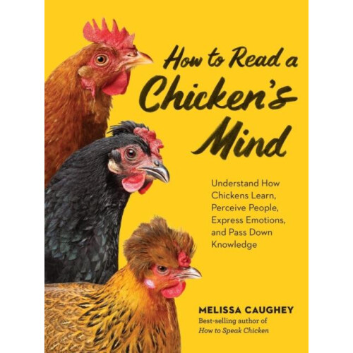How to Read a Chickens Mind by Melissa Caughey Paperback Book
