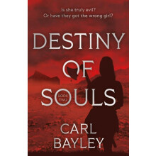 Destiny of Souls by Carl Bayley Paperback Book