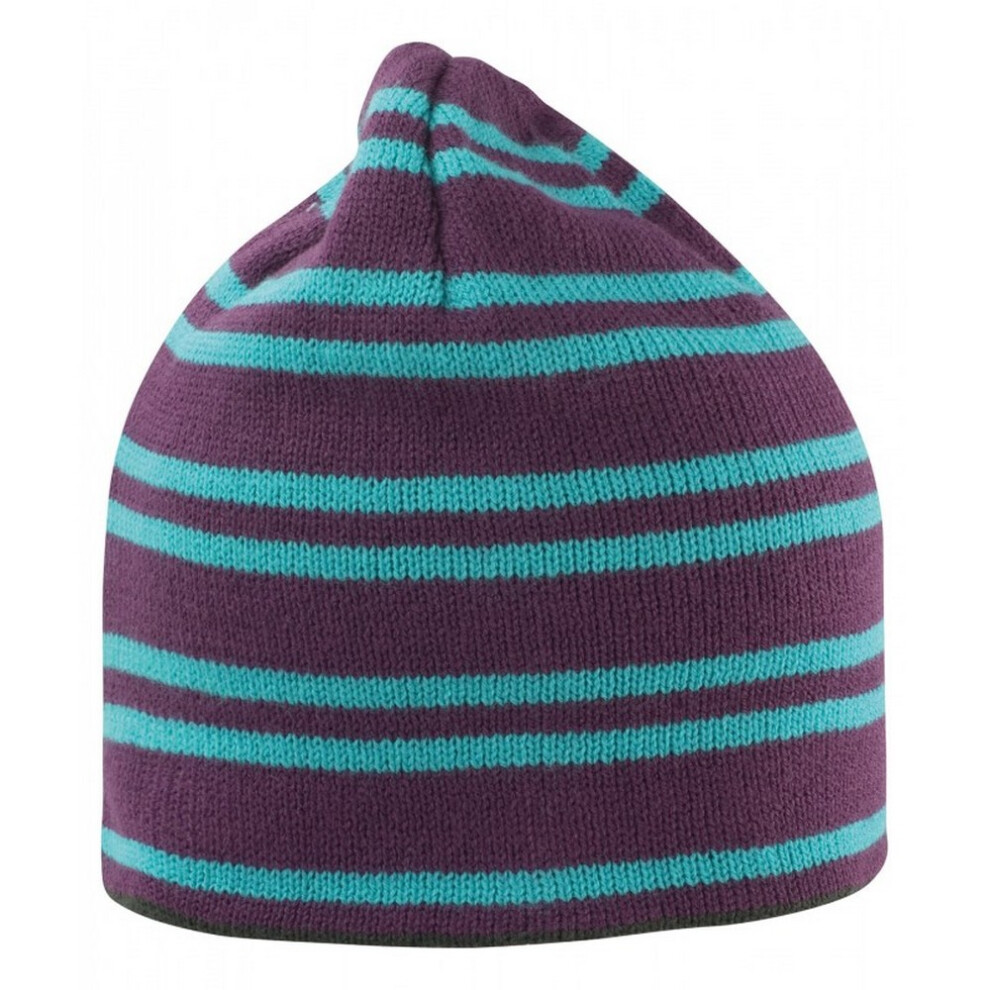 Result (One Size, Plum/Turquoise) Unisex Adult Team Reversible Beanie