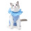 Combinaison de récupération confortable pour chats,-Bleu clair L 1