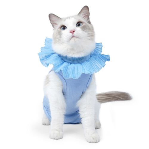 Combinaison de récupération confortable pour chats,-Bleu clair L