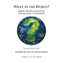 What in the World by Edwin Jay Sparkes Paperback Book