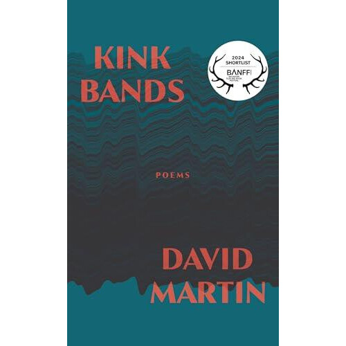 Kink Bands by David Martin Paperback Book