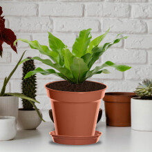 3Pcs Pot Saucer Tray for 28cm Flower Planter Drip Tray Garden Patio Terracotta