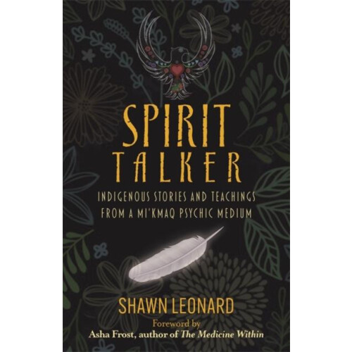 Spirit Talker by Shawn Leonard Paperback Book