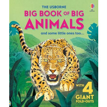 Big Book of Big Animals by Hazel Maskell Hardcover Book