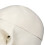 1:1 Human Skull PVC Model Removable for Anatomy Learning Course 3