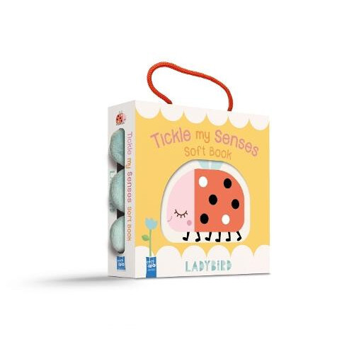 Ladybird Other Book