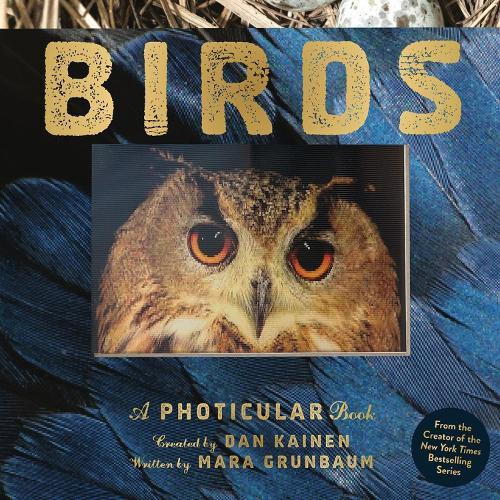 Birds by Mara Grunbaum Hardcover Book