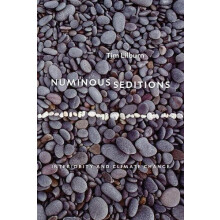 Numinous Seditions by Lilburn Tim Professor Creative Writing Universit