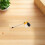 Adjustable Garden Pollination Sprayer Ideal for Indoor Plants 11