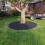 5M PE Garden Edging Border with15Stakes 5
