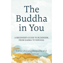 The Buddha in You by Mordy Levine Paperback Book