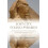 Lost City Found Pyramid Paperback Book 1