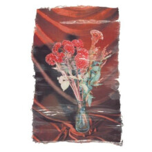Swaying Flowers by Ayaka Endo Hardcover Book