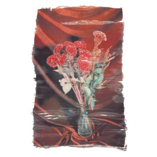 Swaying Flowers by Ayaka Endo Hardcover Book
