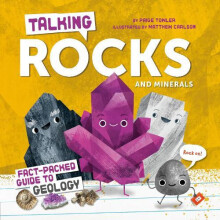 Talking Rocks and Minerals FactPacked Guide to Geology by Paige Towler