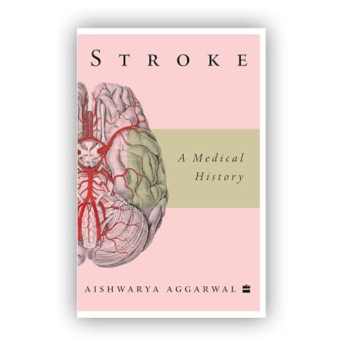 Stroke by Aishwarya Aggarwal Paperback Book