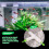 Plastic Tee Shape Aquarium 3-Way Air Valve Connectors 10 Pcs White 5
