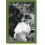Bruce Weber. My Education Hardcover Book 1
