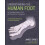 Understanding the Human Foot by James Earls Paperback Book 1