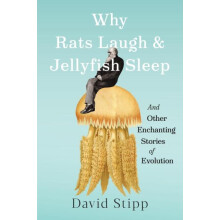 Why Rats Laugh and Jellyfish Sleep by David Stipp Hardcover Book