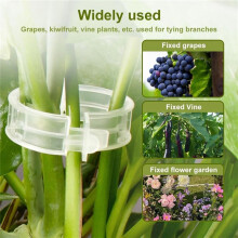 200PCS Plant Support Garden Clips Tomato Clips Supports/Connects Plants/Twine/Vines Trellis/Cages Plant Vine Green