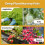 10Pcs Plastic Deep Plant Nursery Pots, Thick Stable Tall Tree Pots, Reusable Tall Seedling Plant Container Pots, Deep 8