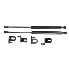 for Prius XW30 2009-2015 Two Sides Auto Front Hood Bonnet Modify Carbon Fiber Gas Struts Lift Support Shock Damper