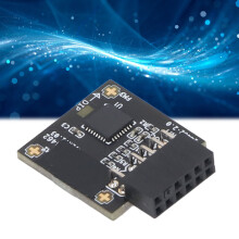 SLB 9670 TPM 2.0 SPI 12-poliges Modul Schwarz 25x20mm