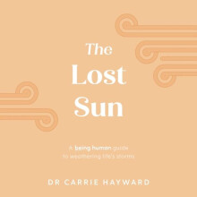 The Lost Sun by Dr. Carrie Clinical Psychologist Hayward Hardcover Boo