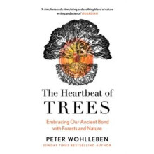 The Heartbeat of Trees by Peter Wohlleben Paperback Book