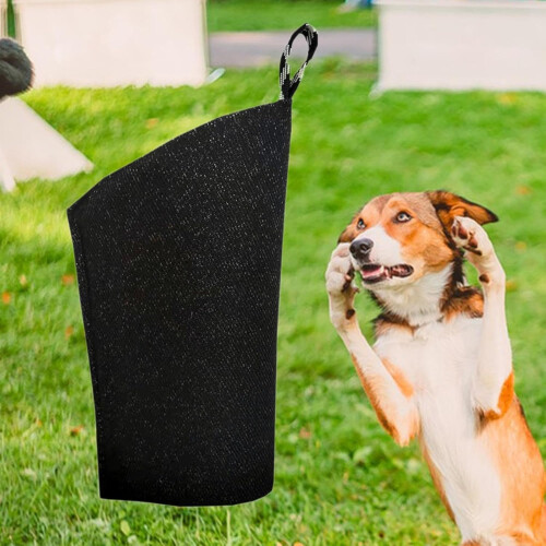 Training training management To protect young dogs Play, Black 2