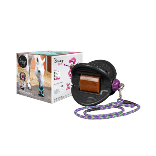 Bizzy Bites Ball Horse Toy 2
