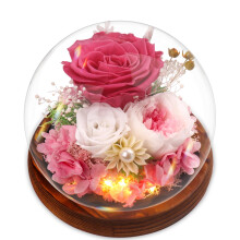 Gifts for Mother, Preserved Eternal Rose in Glass Dome, Real Flowers Gifts for Women, Forever Love Gifts for Mum Wife Girlfriend, Birthday for Her,