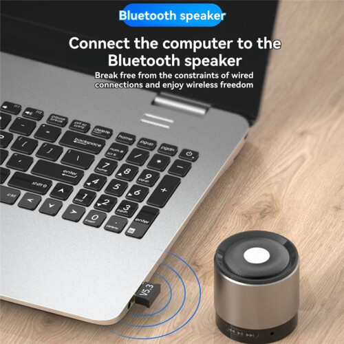 5.3 Adapter for PC USB  Dongle Receiver Transmitter for Desktop Laptop Speaker 2