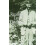 Reading Late Lawrence by N. Reeve Hardcover Book 1