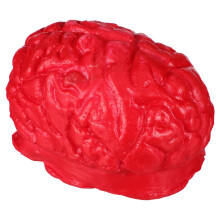 5Pcs Red Fake Body Parts Halloween Brain Model Horror Props