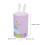Pink Bunny Decorative Tin Container with Lid for Sweets Storage 2