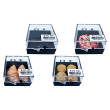 8Pcs Assorted Color Plastic Food Models Mini Toys for Kids Simulation