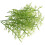 200Pcs Miniature Toy Trees Green Plastic Model for Train Scenery Decor 2